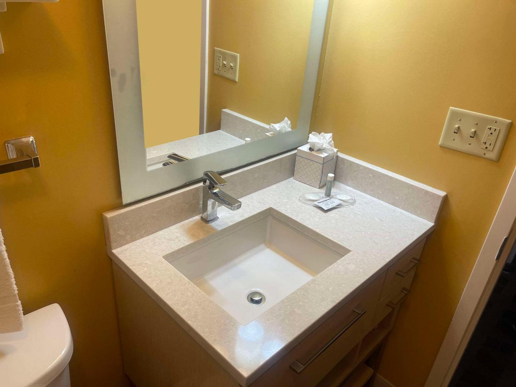 Mainstay Suites Tampa Moffitt-Usf Temple Terrace Esterno foto