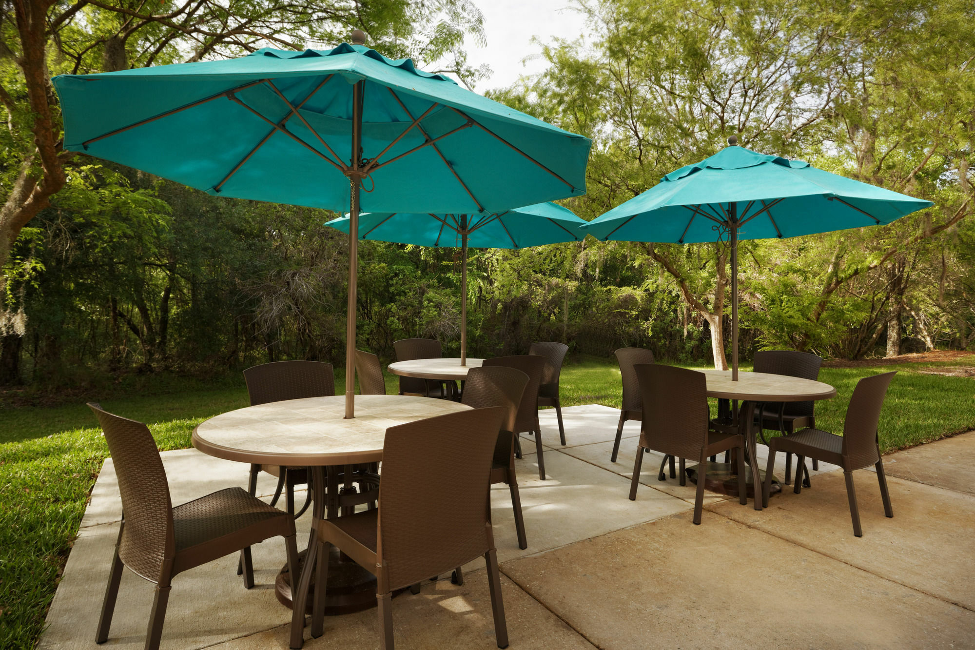 Mainstay Suites Tampa Moffitt-Usf Temple Terrace Esterno foto